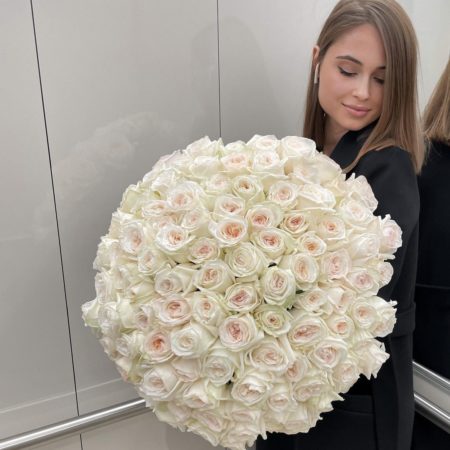 Нежные и чувственные пионовидные розы White O’Hara